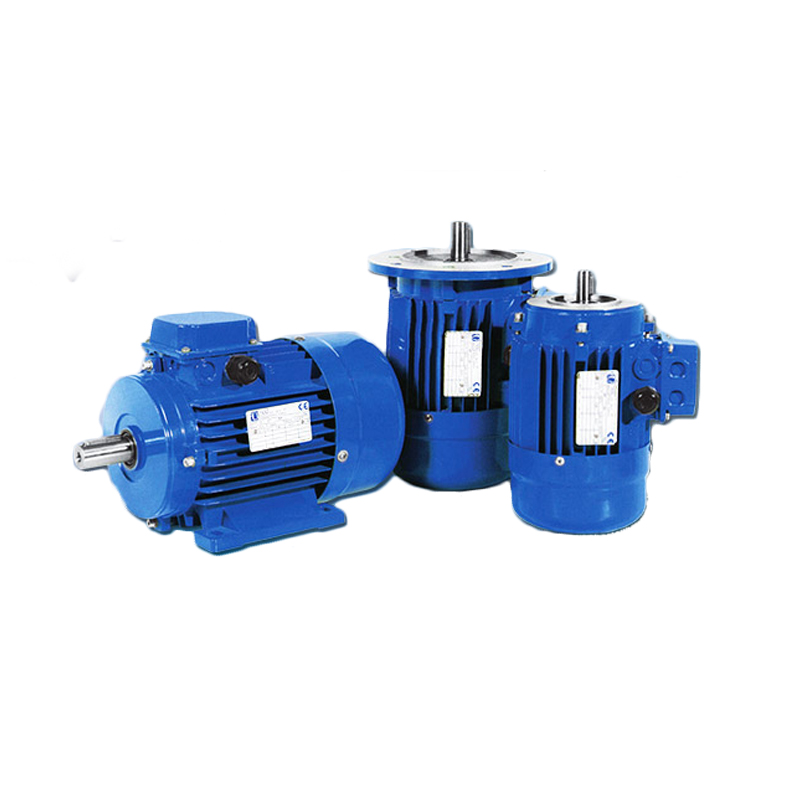 MS系列三相電機(jī)